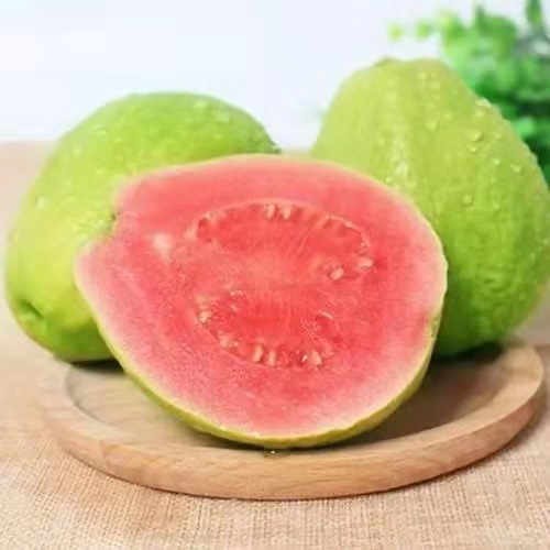 土蜂蜜